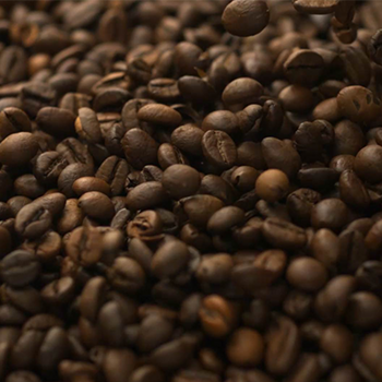 illy_400x400_02 illy_400x400_02