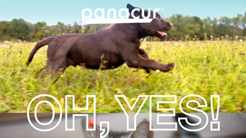 panacur-panadron_533x300_03