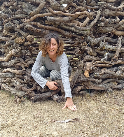 Installation in nature by Emanuela Camacci Opus vermicolatum. Dettelbach, Germany