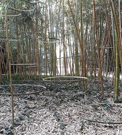 Installation in nature by Emanuela Camacci Suspended condition. Labirinto della Masone di Franco Maria Ricci. Fontanellato. Italy