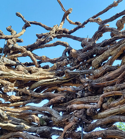 Installation in nature by Emanuela Camacci Opus vermicolatum. Dettelbach, Germany