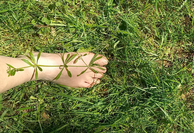 ephimeral art in nature by Emanuela Camacci