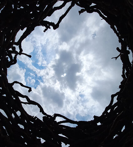 Installation in nature by Emanuela Camacci Opus vermicolatum. Dettelbach, Germany