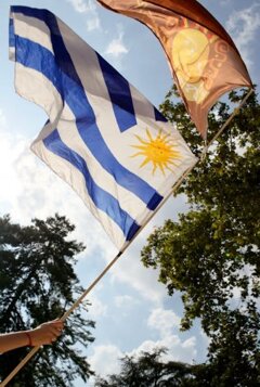 bandera.jpeg