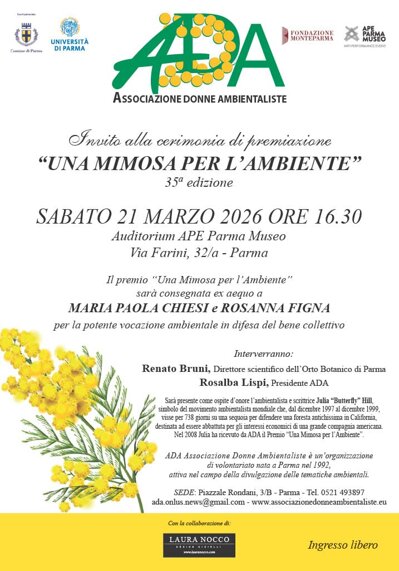 ada mimosa.jpeg ada mimosa.jpeg