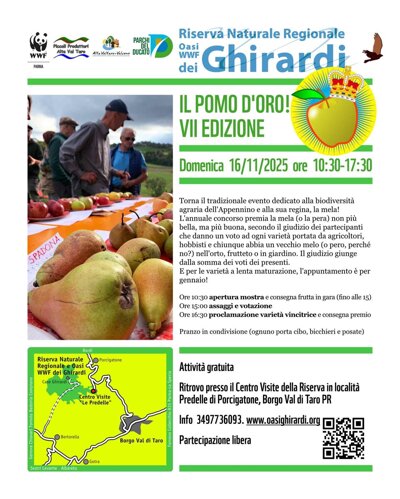 pomo d'oro.jpeg pomo d'oro.jpeg