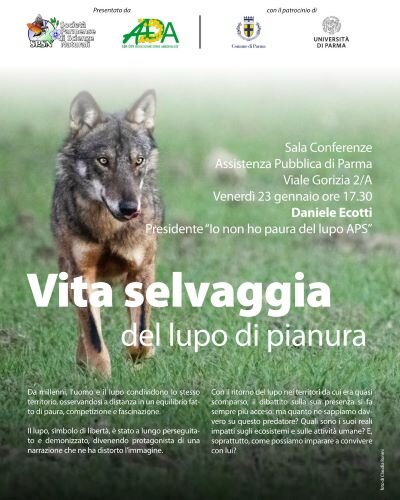 vita selvaggia conferenza.jpeg