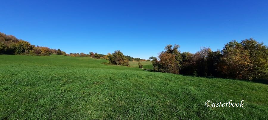 20251104_133649 - copia.jpeg 20251104_133649 - copia.jpeg