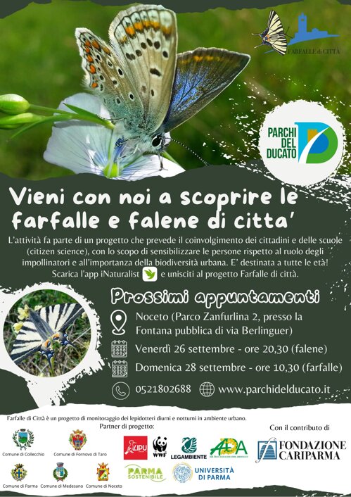 locandina farfalle falene.jpeg