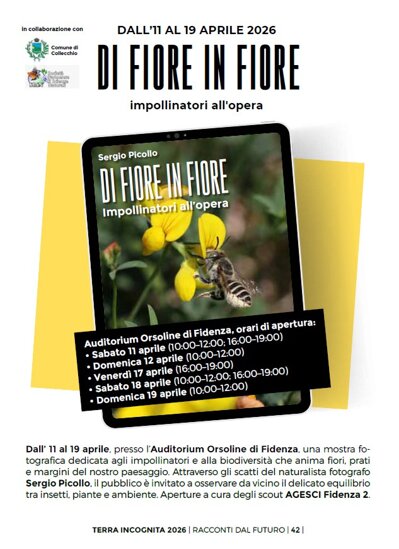 mostra picollo fidenza.jpeg mostra picollo fidenza.jpeg