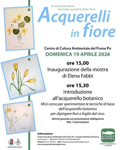 mostra elena fabbi.jpeg