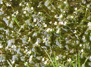 dscn9613.jpeg dscn9613.jpeg