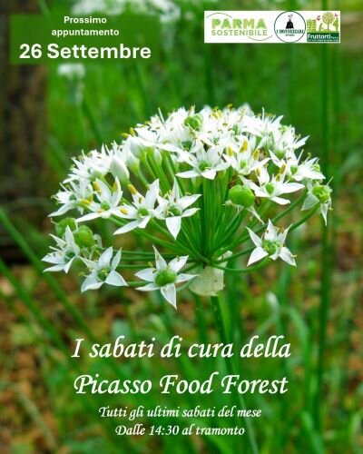 settembre 400x500.jpeg