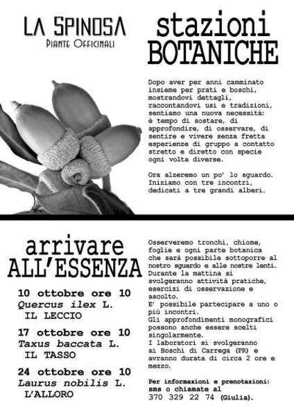 spinosa ottobre.jpeg