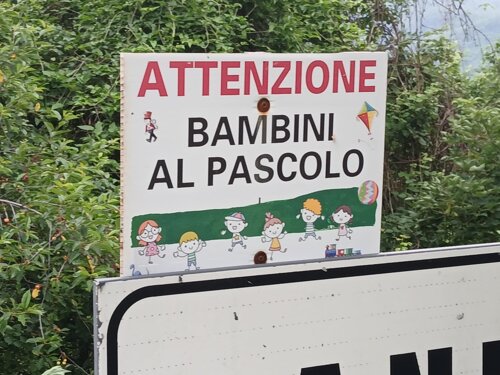 bambini al pascolo 2.jpeg bambini al pascolo 2.jpeg