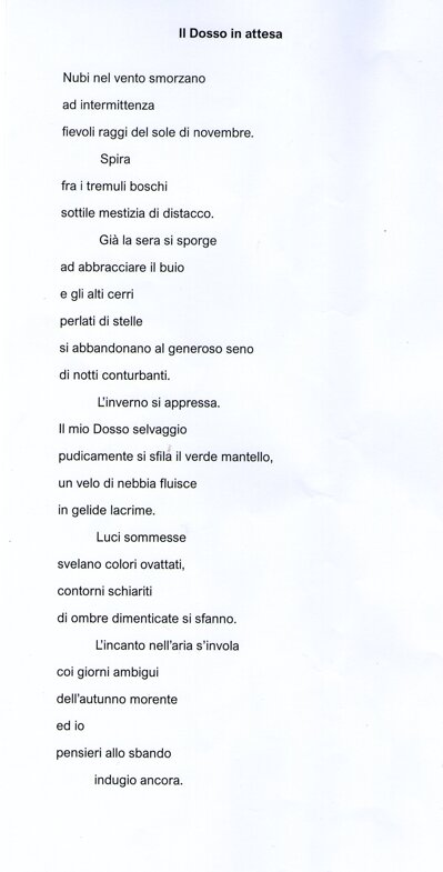 dosso in attesa.jpeg dosso in attesa.jpeg