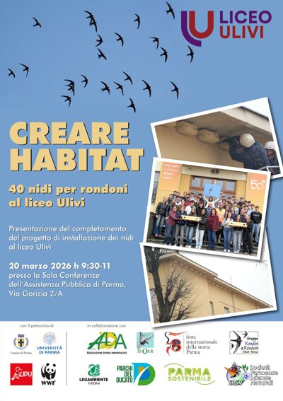 rondoni ulivi.jpeg rondoni ulivi.jpeg