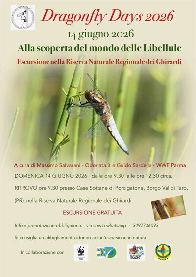 locandina dragonfly days 2026_ghirardi_rid.jpeg locandina dragonfly days 2026_ghirardi_rid.jpeg