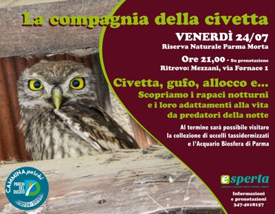civetta - esperta.jpeg