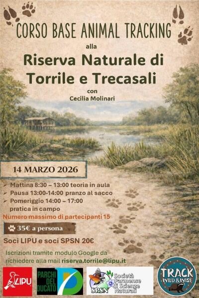 corso animal tracking.jpeg