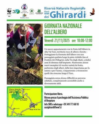 giornata alberi.jpeg