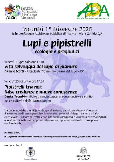 ada lupi e pipistrelli.jpeg
