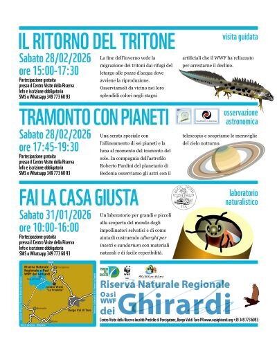 anfibi pianeti beehotel.jpeg