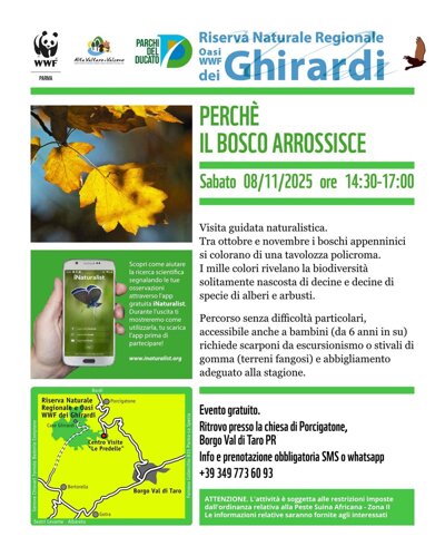 bosco arrossisce.jpeg bosco arrossisce.jpeg