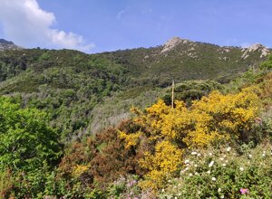 img_20260509_114721.jpeg