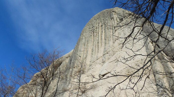 chiastra di san domenico a cassio 260222-11 (1).jpeg