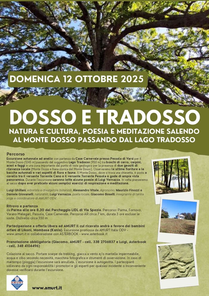 dosso e tradosso.jpeg