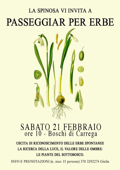 passeggiar per erbe.jpeg