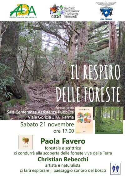 respiro delle foreste 400x566.jpeg