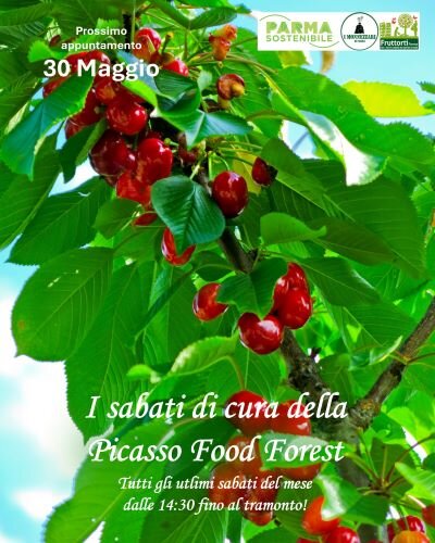 locandina_sabati_di_cura_maggio.jpeg