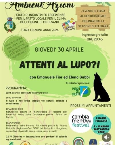 attenti al lupo.jpeg