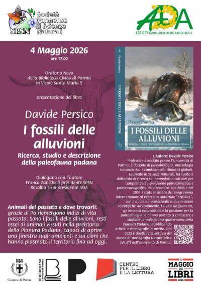 fossili persico.jpeg