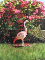 flamingo