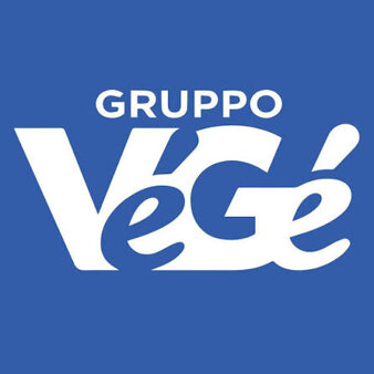 vefe logo.jpeg