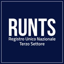 banner-runts.jpeg