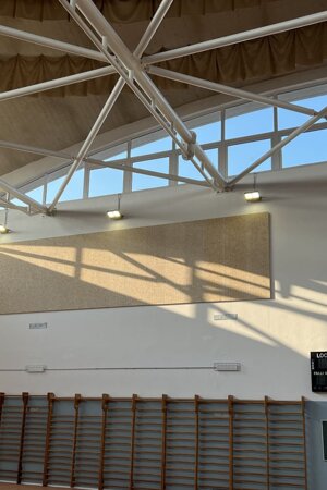 platea_sl_moglia.jpeg platea_sl_moglia.jpeg