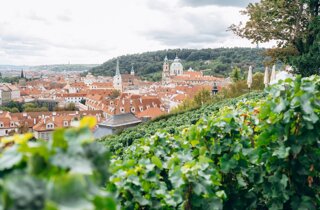 villa-richter-prague-wedding-venue-jindrich-nejedly-photography-002.jpeg villa-richter-prague-wedding-venue-jindrich-nejedly-photography-002.jpeg