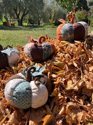 zucca1.jpeg zucca1.jpeg