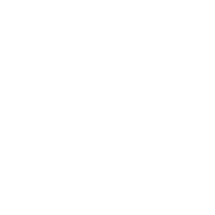 logo bianco