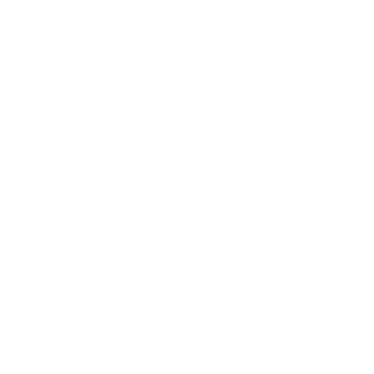 logo bianco