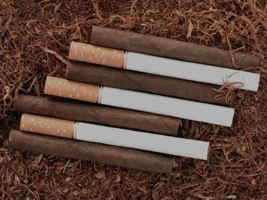 tabacco-tritato.webp