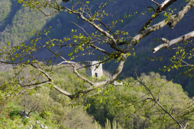 castello2-750x500.jpeg castello2-750x500.jpeg