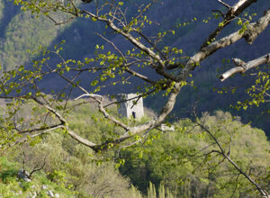 il castello di cervinara e la sagra della castagna
