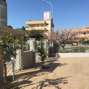img_0477.jpeg
