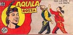 aquila-rossa-n-43-stricia