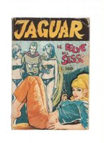 jaguar-n-2-le-belve-del-sesso